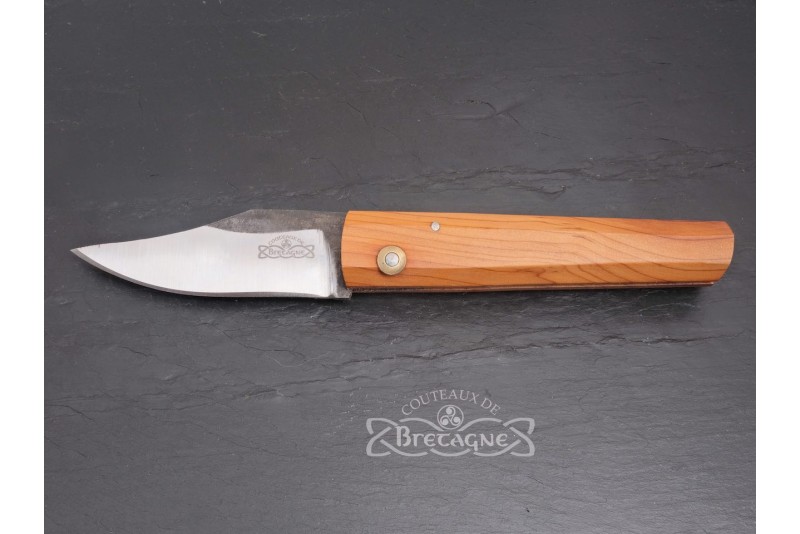 brocéliande if breton 2