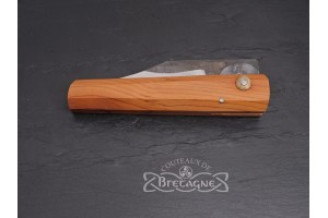 brocéliande if breton3