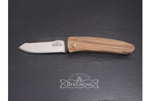 abondance hêtre échauffé stabillisé1